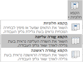 קיבוע שורה באקסל